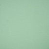 D-696 MINT - t-shirt with elastan TE210