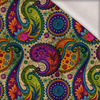 PAISLEY wz.18 - Wintersweat angeraut mit Elastan ITY