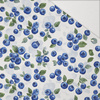 TUTTI FRUTTI WZ. 31 - Hydrophobic brushed knit