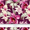 EXOTIC ORCHIDS PAT. 8