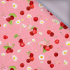 TUTTI FRUTTI WZ. 43 - Softshell