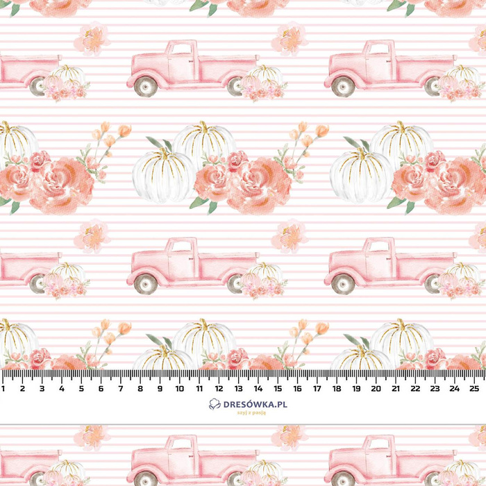 PUMPKINS ON THE PICKUP /  STRIPES (PUMPKIN GARDEN) - single jersey with elastane 