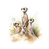 WATERCOLOR MEERKAT - panel (60cm x 50cm) teplákovina počesaná s elastanem ITY