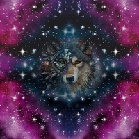 WOLF / WATERCOLOR GALAXY PAT. 8 -  PANEL (75cm x 80cm) SINGLE JERSEY ITY