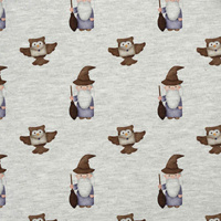 ZAUBERER / Eulen (ZAUBERSCHULE) / M-01 melange hellgrau