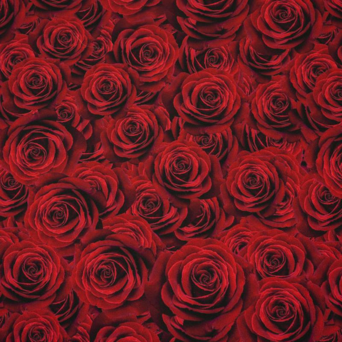 ROSES - softshell