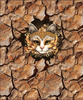 ANIMALS CRACKED wz.4 (cat) - panel (60cm x 50cm)   Baumwoll Webware