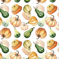 DYNIE I CUKINIE / biały (DYNIOWY OGRÓDEK)