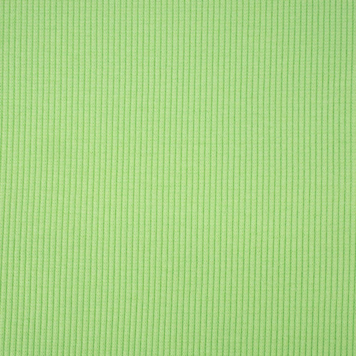 Rib Jersey fabric Unicolour - LIGHT GREEN (D-122) 