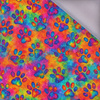 COLOR POP WZ.4 - softshell
