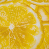 LEMONS - Waterproof woven fabric