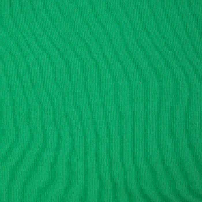 D-101 GREEN - thick looped knit 290g