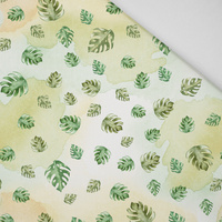MINI MONSTERA / WATERCOLOR WONDERS - Panama 220g