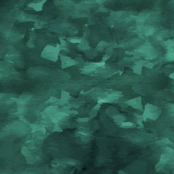 CAMOUFLAGE m. 2 / flaschengrün - Wasserabweisende Webware