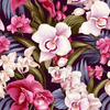 EXOTIC ORCHIDS MS. 5 - Softshell