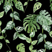 ROPICAL LEAVES MIX pat. 2 / black (JUNGLE) - softshell