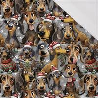 DOGS WZ. 1 / CHRISTMAS - single jersey