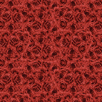 ROSEN Ms. 5 (CARO UND ROSEN)- Single Jersey mit Elastan ITY