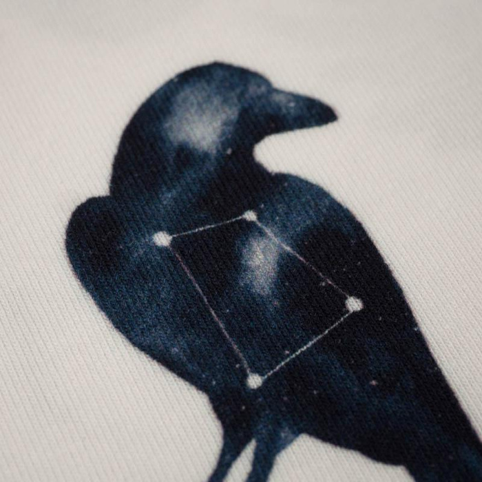 GALAKTISCHE VÖGEL (GALAKTISCHE TIERE)