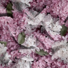 LILACS  - Cotton muslin
