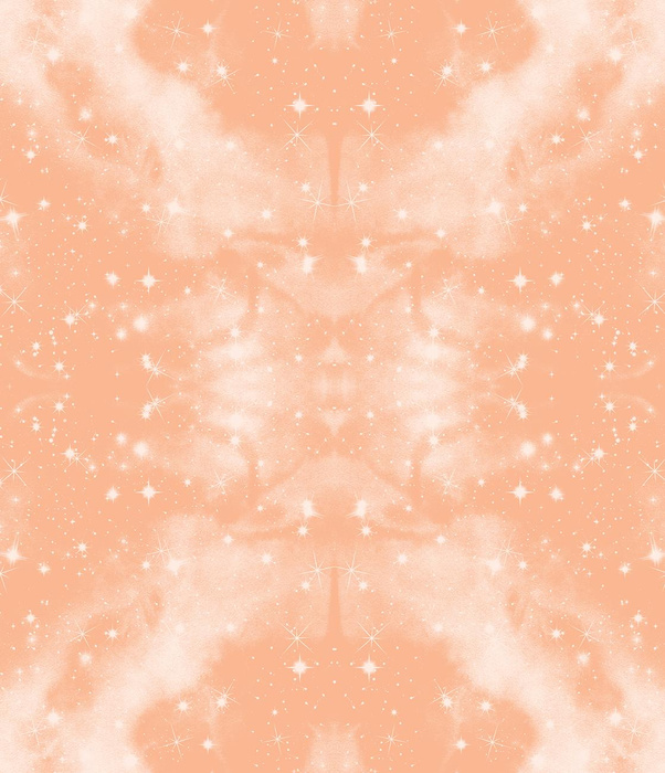 GALAKTYKA / peach fuzz - softshell