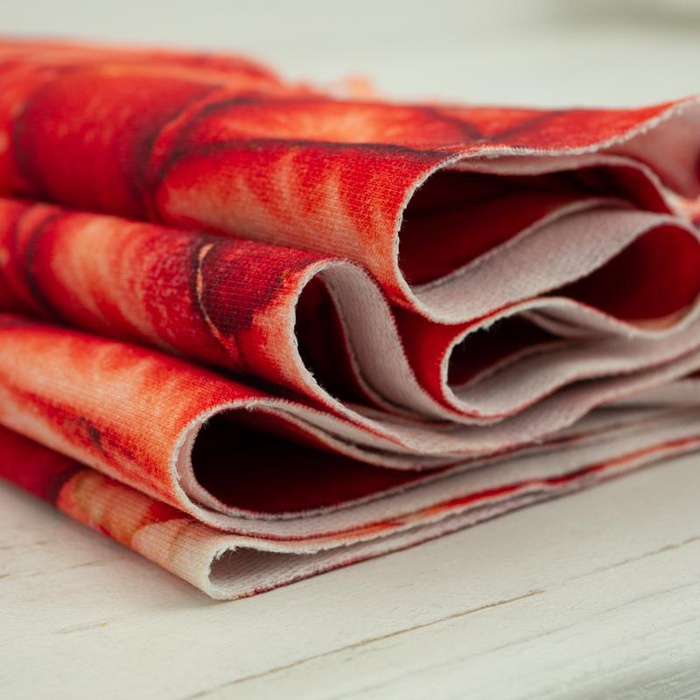 TRUSKAWKI - dresówka pętelkowa SP250