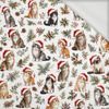 CHRISTMAS PETS WZ. 1 - looped knit fabric