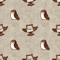 OWLS pat. 2 (MAGIC SCHOOL) / ACID WASH BEIGE