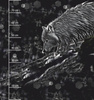 WILK POLARNY - panel (75cm x 80cm) lekka dzianina drapana