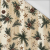 CHRISTMAS STRIPES WZ.1 - Wasserabweisende Webware