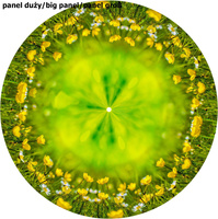 SUMPFDOTTERBLUME - groß Tellerrock-Panel