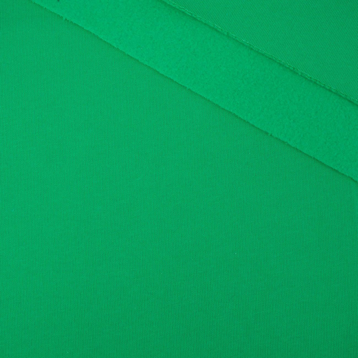 Thick brushed sweatshirt D300 - GREEN (D-101)