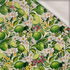 TUTTI FRUTTI WZ. 41 / lime cream - brushed knitwear with elastane ITY