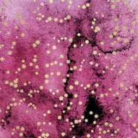 GOLDEN STARS Pat. 1  / WATERCOLOR MARBLE - Cotton woven fabric