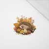SLEEPING HEDGEHOG - PANEL (40cm x 40cm) ORGANICZNY SINGLE JERSEY