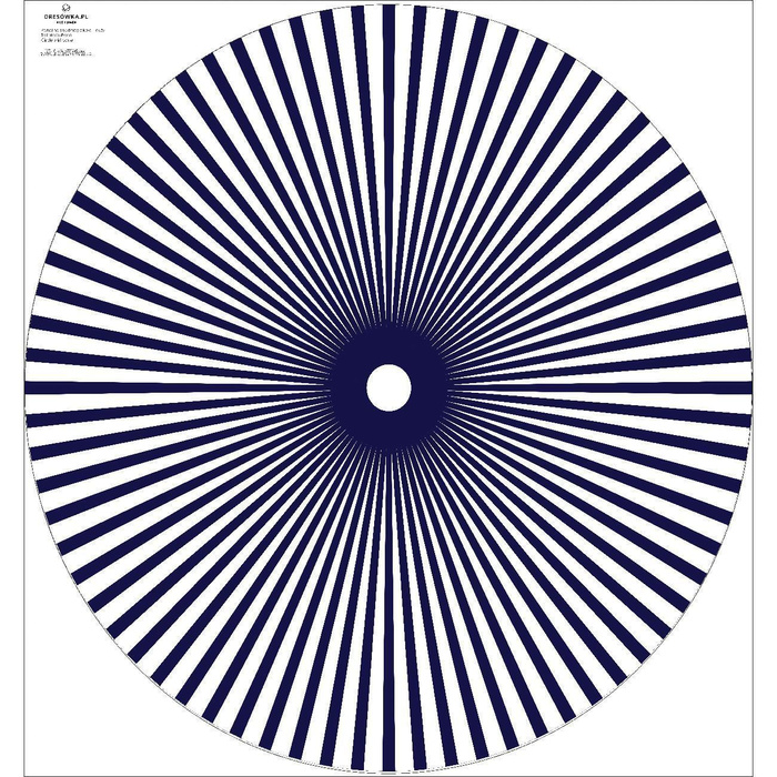 STRIPES - big circle skirt panel