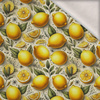TUTTI FRUTTI WZ. 34 - brushed knitwear with elastane ITY