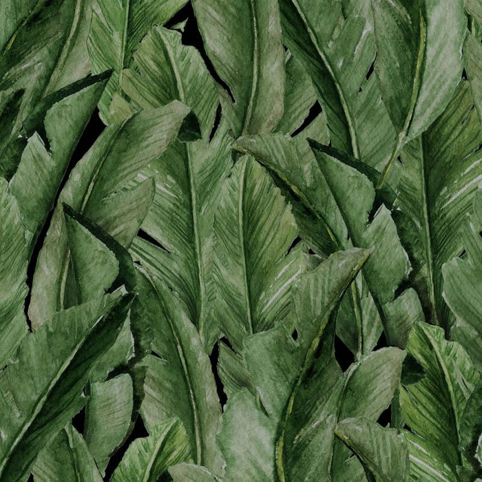 LIŚCIE BANANOWCA wz. 4 (JUNGLE) - dzianina pętelkowa