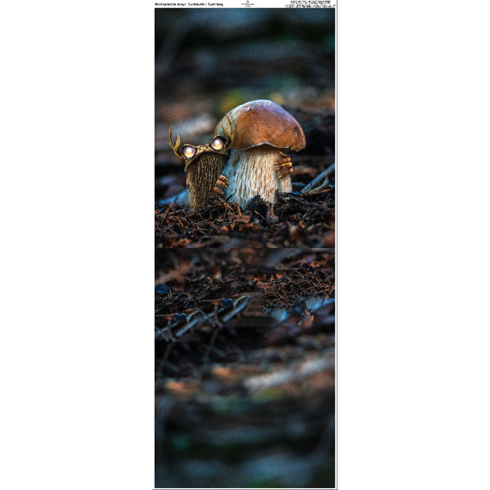 TURNBEUTEL - BOROWIEC BIEST - Nähset - groß