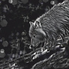 Arktický vlk - panel (75cm x 80cm) SINGLE JERSEY ITY