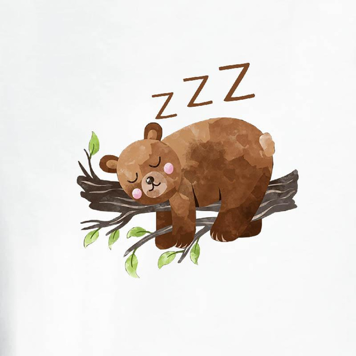 LONGSLEEVE - SLEEPING BEARS (BEARS AND BUTTERFLIES) - single jersey (146/152)