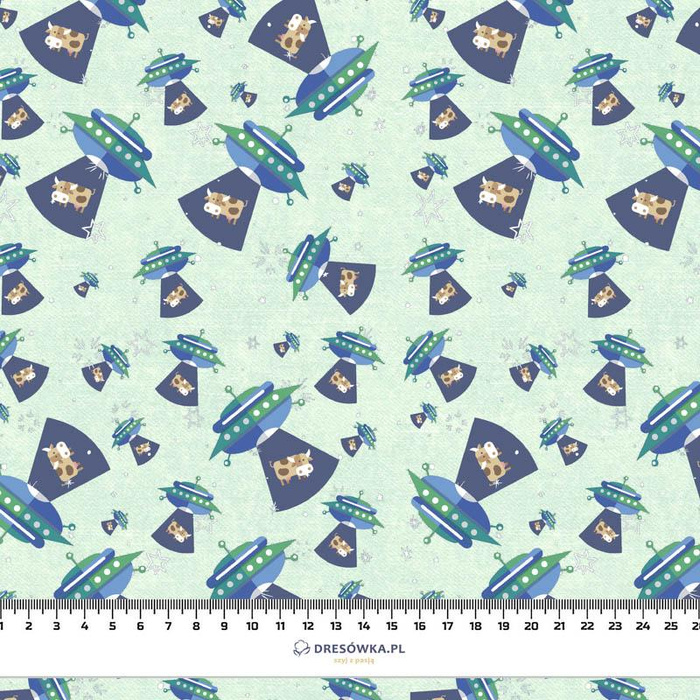 KROWY W KOSMOSIE (WYPRAWA W KOSMOS) / ACID WASH MIĘTOWY