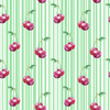 CHERRIES / stripes