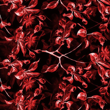 APFELBLÜTE Ms. 1 (rot) / schwarz