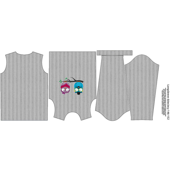 LONGSLEEVE - TWO OWLS / grey - single jersey (110/116)