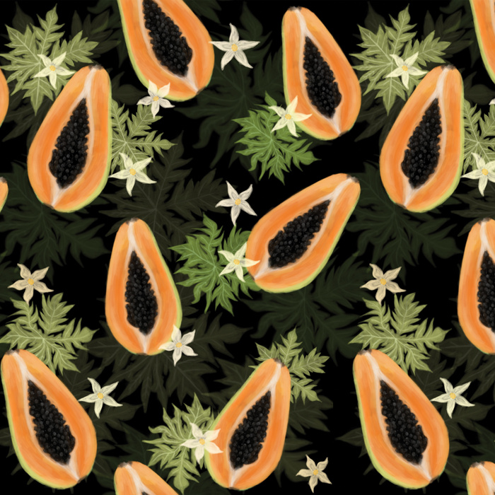 PAPAYA ORANGE & BLACK - Thermo lycra