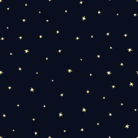 MINI STARS