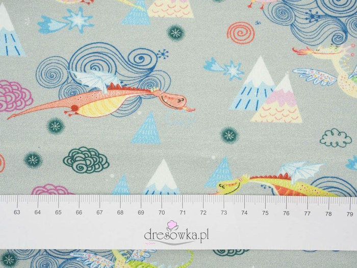 DRACHEN / grau - Viskose-Jersey WE210