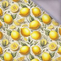 TUTTI FRUTTI WZ. 34 - Softshell