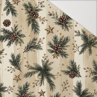 CHRISTMAS STRIPES WZ.1 - Hydrophobic brushed knit
